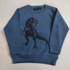 Sweatshirt for Boys