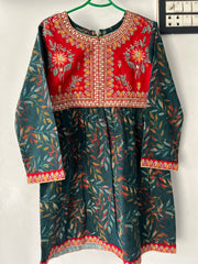 Alif Kari Koti Dress