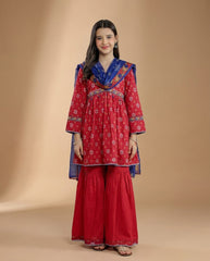 Girls Embroidered Dress