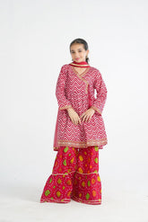 Lily chunri ghrara Dress