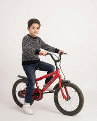 Boys sweater (Minnie minors)