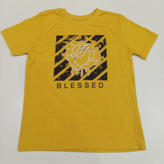 Boys Shirt - Kites