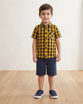 Boys Shirt - Kites