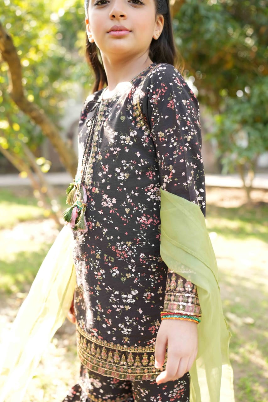 Al Qaswa Eid Special