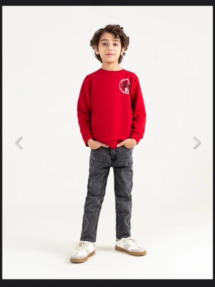 Beech Tree Sweatshirt For Boys
