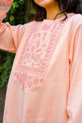 Lily Khaddar 2 Piece Dress