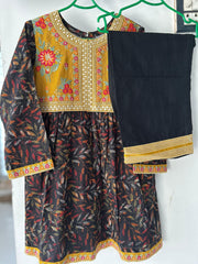 Alif Kari Koti Dress