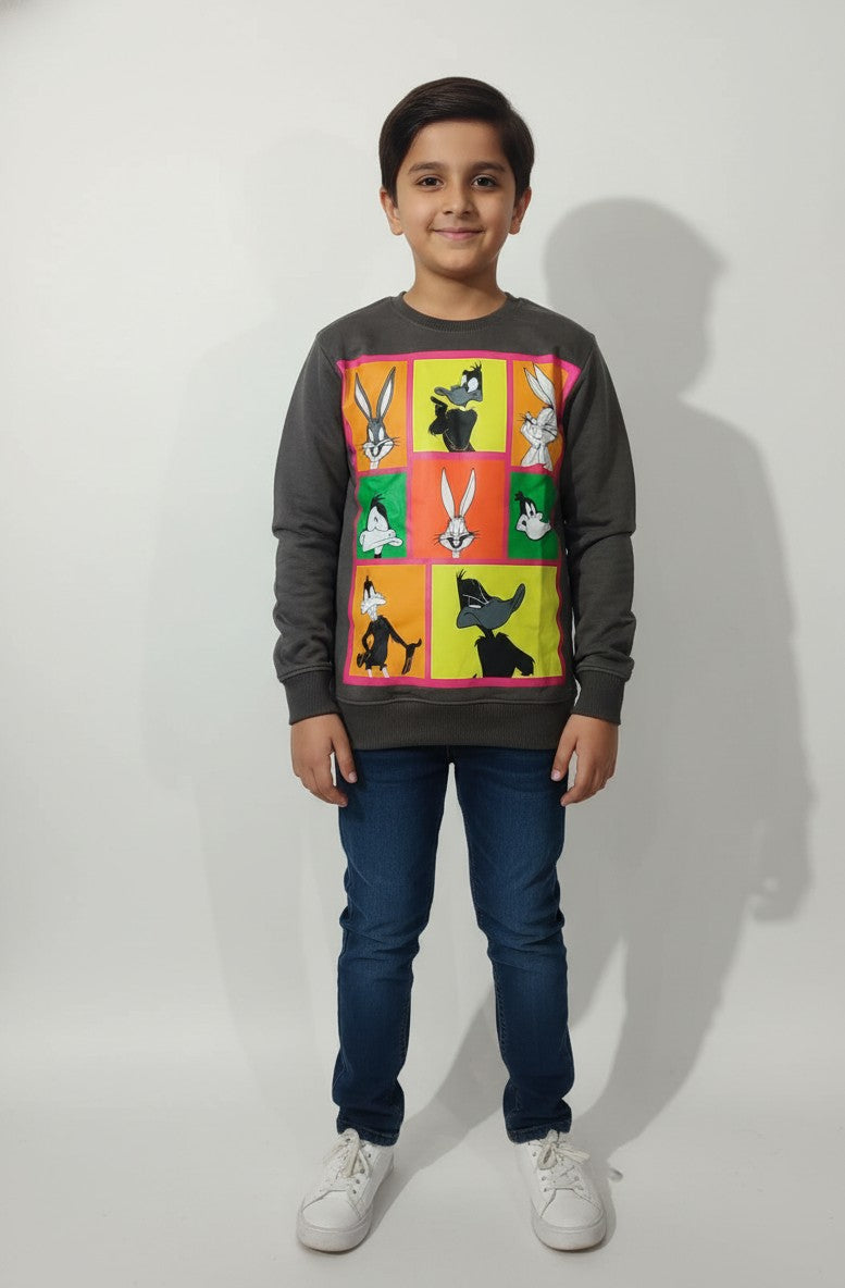 Beechtree Sweatshirt For Boys