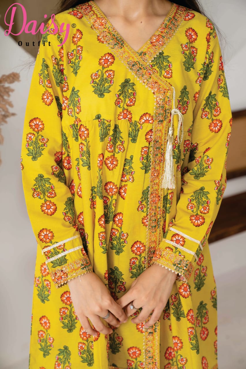 Daisy Angrakha Dress