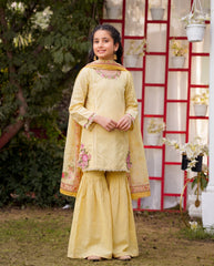 Girls 3 Piece Gharara Dress