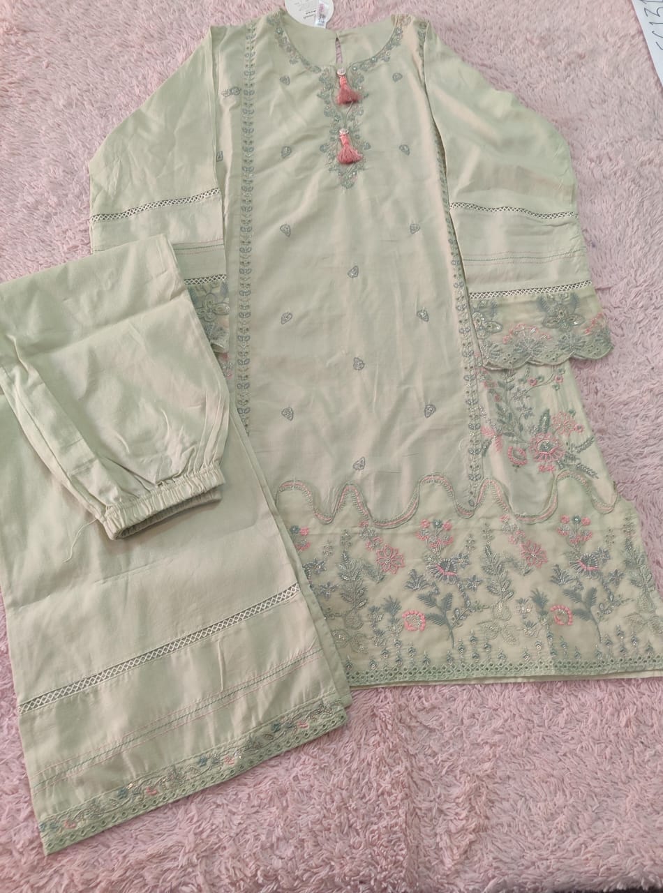 Girls Embroidered Dress 2 piece