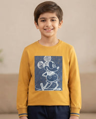 Puper squrd boy sweatshirt 13to14y