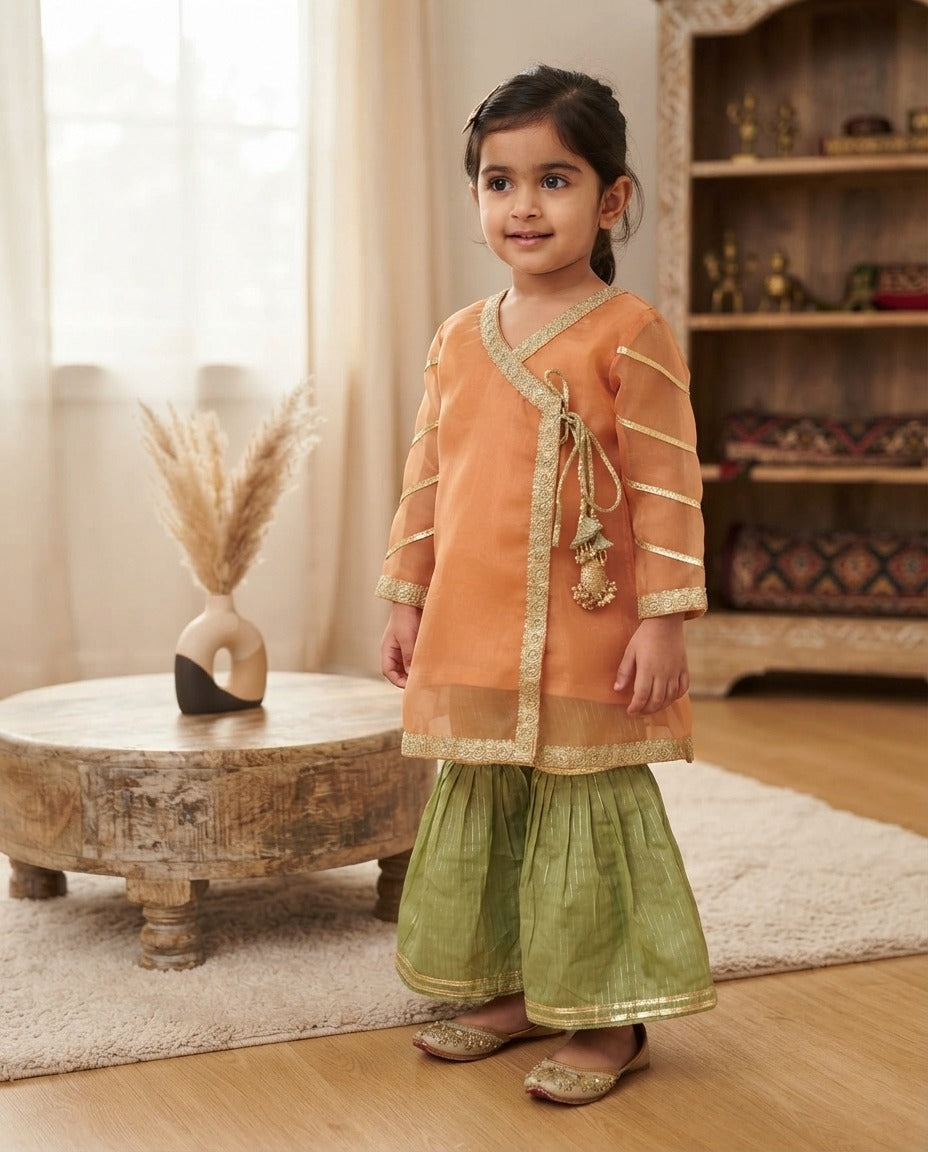 Dulari girl dress (4 yr)