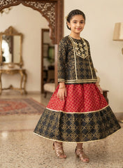 Dulari girl dress