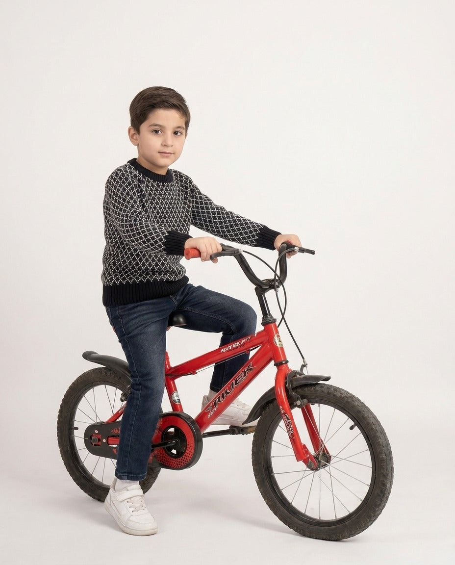 Boys sweater (Minnie minors)