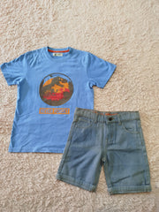 Boy pair (6 yrs )
