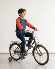 Boys sweater (Minnie minors)