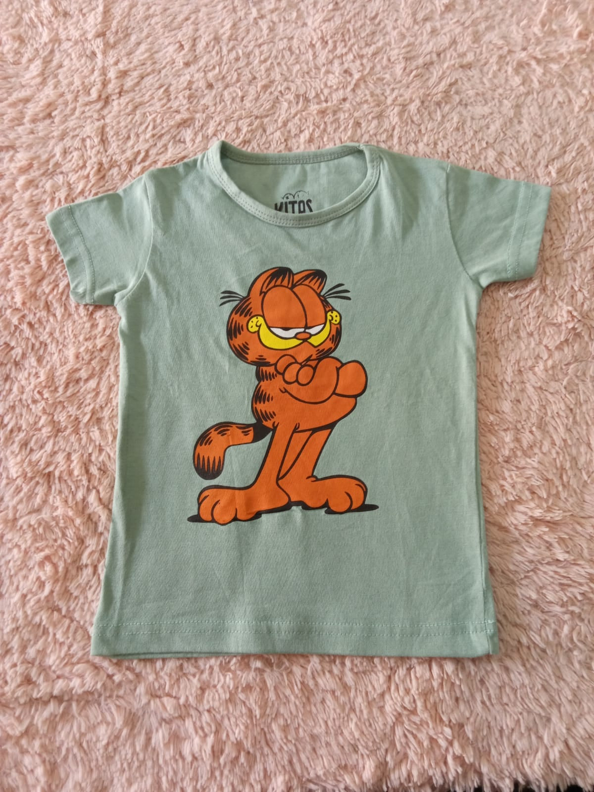 Kites (9-12 month)