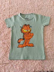Kites (9-12 month)