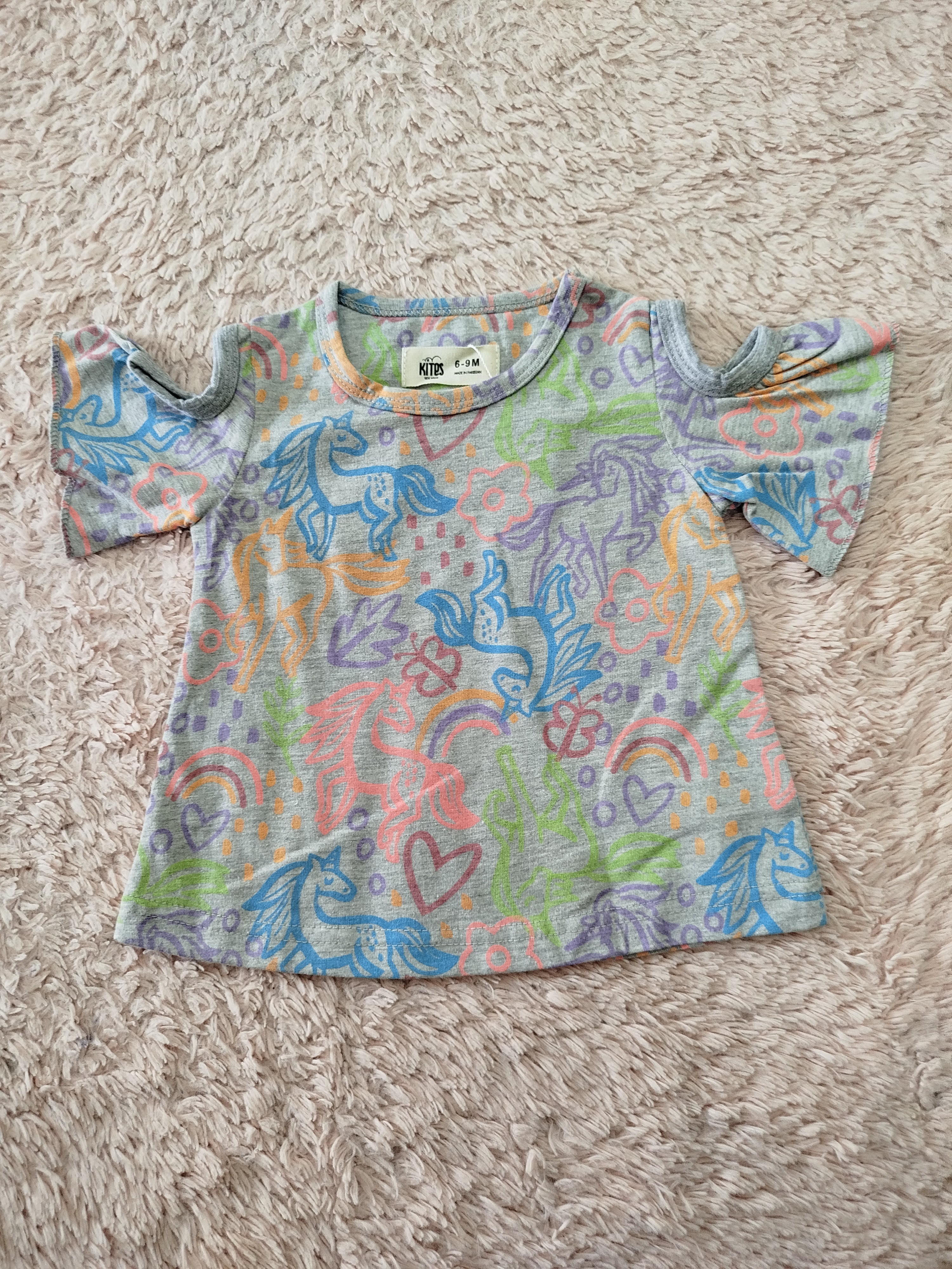 Kites (6-9 months)